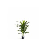 Yapay Dracaena Fragrans ağaç 120 cm siyah gümüş saksı svm.1450