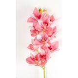 Yapay Islak Dokulu 10 Kandilli Singapur Orkide Çiçeği 75 cm Pembe