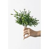 Yapay Kabak Çiçeği Demeti Yeşil 30 Cm 5 Dal