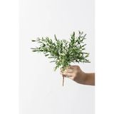 Yapay Kabak Çiçeği Demeti Yeşil Beyaz 30 Cm 5 Dal
