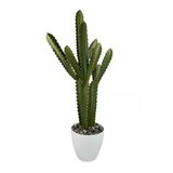 Yapay Kaktüs Ağacı 3Köşe Gövde - Beyaz Saksıda Yapay Bitki 80*35Cm Vitrin