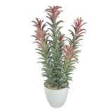Yapay Kaktüs Ağacı Pembe Yeşil Renk - Beyaz Saksıda Yapay Bitki 55*25Cm