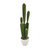 Yapay Kaktüs Ağacı Sütun Kaktüsü (Cereus Peruvianus) - Beyaz Saksıda Yapay Bitki 70*20Cm Vitrin