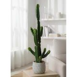Yapay Kaktüs Euphorbia İngens Şamdan Ağacı Beton Saksıda Yapay Bitki 70Cm Vitrin