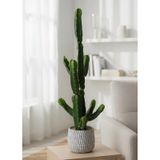 Yapay Kaktüs Euphorbia İngens Şamdan Ağacı Beton Saksıda Yapay Bitki 70cm Yeşil