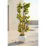 Yapay Limon Bambu Ağacı - Beyaz Küre Saksılı 100 cm