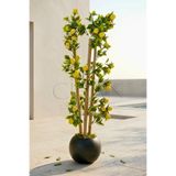 Yapay Limon Bambu Ağacı - Siyah Küre Saksılı 100 cm