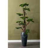 Yapay Lüx Bonsai Ağacı 200 Cm 40 Dal