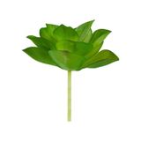Yapay Mini Etli Echeveria Sukulent Açık Yeşil 8 Cm-10914