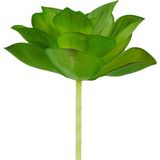 Yapay Mini Etli Echeveria Sukulent Açık Yeşil 8 cm