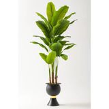Yapay Muz Ağacı 220 Cm 20 Yaprak Balon Saksı