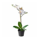 Yapay Orkide Beyaz 9 Cm MeridyenDukkan 9 cm Yapay Çiçek Orkide