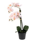 Yapay Orkide Çiçeği, 65 cm, Açık Pembe, Saksılı Dekoratif Ev Aksesuarı