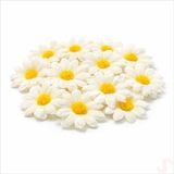 Yapay Papatya Çiçek Kafası 4 cm x 20 Adet - Beyaz