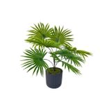 Yapay Salon Bitkisi Fan Palmiye 50*40Cm 8Yaprak Plastik Antrasit Saksıda