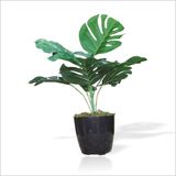 Yapay Uzun 40 Cm Cimli Saksili Monstera Deliciosa Deve Tabani Kaucuk Cicegi Bitkisi Agaci Yapragi