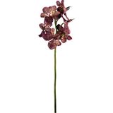 Yapay Vanda Orkide Dalı Pembe 52 cm