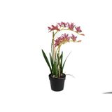 Yapay Vanda Orkide, Pembe, Saksılı, 61cm, Ev Dekorasyonu için, 1 Adet