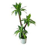 Yapay Yuka Ağacı 1.50 Mt Boy Yucca 3 Gövdeli Kılıç Yaprak Islak Doku yuca23