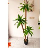 Yapay Yuka Yucca Ağacı 3 Gövdeli 1.70 Mt Boy Islak Doku Doğal Yoğun Yaprak Yuka yuca.24