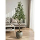 Yapay Zeytin Ağacı 185Cm Doğal Görünümlü Yapay Ağaç Mokka Renk 30Cm Küre Saksıda