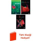 Yapı Kredi Yayınları Mies Van Hout 3 Kitap Seti + Türk Klasiği Hediye - Hayır