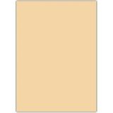 Yapışkanlı Eva 50X70 Ten Rengi Rulo Şeklinde