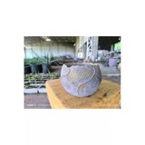 Yaprak Desenli Beton Orkide Aranjman ve Bonsai Saksısı