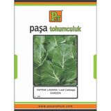 Yaprak Lahana Tohumu (Karden) 10 Gr X2 Paket
