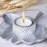 Yaprak Mumluk, Silver
