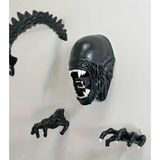 Yaratıcı Sanatlar Atölyesi 3 Boyutlu Xenomorph Alien Duvar Heykeli Seti Büyük Boy 4 Parça Gerçekçi Duvar Heykeli