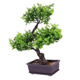 Yardenfun Yapay Bonsai Dekoratif Bitki Gerçekçi Saksı Modeli Ev İçin Şık Ve Elegant Görünüm Süre Kullanım İçin Tasarlandı