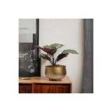 Yaren Style Büyük Eskitme Metal Orkide Saksısı Vazo / Çiçekler Görsel Amaçlı Kullanılmıştır.