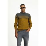 Yarım Balıkçı Yaka Regular Fit Dikişsiz Desenli Triko Kazak - Hardal - XL