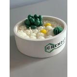 Yasemin Kokulu Çiçekli, Suculentli ve Kaktüslü Dekoratif Terrarium Mum