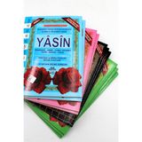 Yasin-i Şerif 10 Kitap - Elmalılı Hamdi Yazır - Karışık