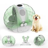 Yasomi Drypet WB102 Evcil Hayvan Kurutma Makinesi (Yeşil)