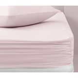 Yataş Bedding Noah 120x200x36 cm Ranforce Lastikli Çarşaf