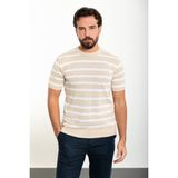 Yatay Çizgili Bej Slim Fit Bisiklet Yaka Erkek Triko T-Shirt - 2XL