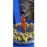 Yavuz El Yapımı Kırmızı Kantaron Yağlı Acı Kavun Yağı 80 ML Cam Şişe