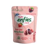 Yayla Enfies Freeze Dried Dondurularak Kurutulmuş Çıtır Meyve-Berry Boost 15 Gr, BeeryBoost15gr