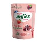 Yayla Enfies Freeze Dried Dondurularak Kurutulmuş Çıtır Meyve-Berry Boost 15 gr