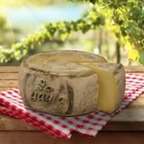 Yayla Gurme Eski Kaşar 12,5 kg