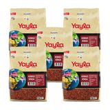 Yayla Gurme Kırmızı Kinoa 250 gr x5