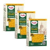 Yayla Kinoalı ve Sebzeli Yeşil Mercimek Penne Bakliyat Makarnası 250 g x3
