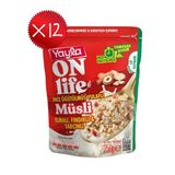 Yayla Onlife Elmalı Fındıklı ve Tarçınlı İnce Öğütülmüş Yulaflı Müsli 250 g x12