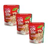 Yayla Onlife Elmalı Fındıklı ve Tarçınlı İnce Öğütülmüş Yulaflı Müsli 250 g x3