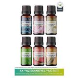 Yaz Seti Esansiyel Uçucu Yağ Buhurdanlık Yağı Hava Nemlendirici Aroma Difüzörü Kokusu Esans 6x