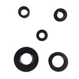 YBR 5 Lİ KRANK MOTOR KEÇE SETİ