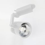 Ycl YRS-205B 30W Led Ray Spot